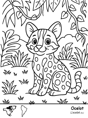 Page intérieure ocelot